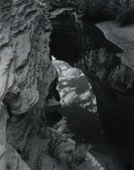 Philip Hyde  -  Reflections, Pool, Fronds Gelees Canyon, Glen Canyon, Utah, 1962 / Silver Gelatin Print  -  10 x 8