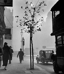 Wolf Suschitzky  -  Charing Cross Road, London, 1937 / Silver Gelatin Print  -  16 x 20