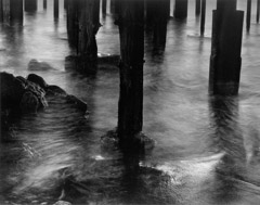 Wynn Bullock  -  Pilings under Cannery Row, 1958 / Pigment Print  -  Available in multiple sizes