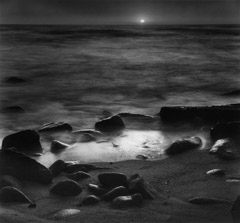 Wynn Bullock  -  The Shore, 1966 (2696A) / Pigment Print  -  Available in multiple sizes