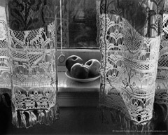 Harold Feinstein  -  My Mother's Curtains, 1948 / Silver Gelatin Print  -  20 x 24