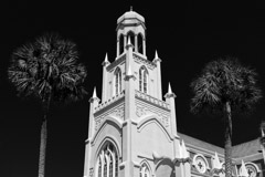 Tim Barnwell  -  Congregation Mickve Israel Jewish synagogue, Savannah, GA / Pigment Print  -  Available in Multiple Sizes