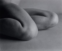 Edward Weston  -  Nude, 1927 / Silver Gelatin Print  -  7.5 x 9