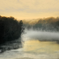 Diane Kirkland  -  Chattahoochee, River / Pigment Print  -  Available in Multiple Sizes