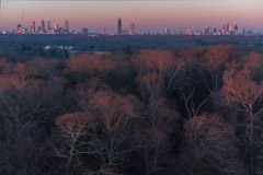 Peter Essick  -  Winter Forest, Atlanta Skyline / Pigment Print  -  Available in Multiple Sizes