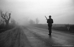 Harold Feinstein  -  Standing Guard, 1952 / Silver Gelatin Print  -  16 x 20