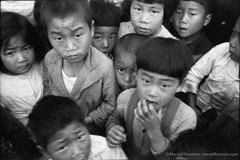 Harold Feinstein  -  AD-031a Curious Korean Children /   -  