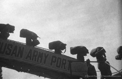 Harold Feinstein  -  Pusan Army Port, Korea. 1953 /   -  