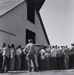 Dorothea Lange  -  Auction Crown with Barn, 1956 / Silver Gelatin Print  -  