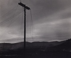 Pirkle Jones  -  Power Lines Cut, 1956 / Silver Gelatin Print  -  