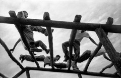 Harold Feinstein  -  AD-001 Confidence Course, 1952 /   -  Neg_PT-1B_F27