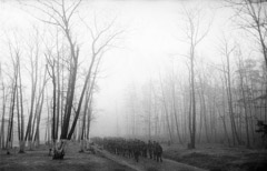 Harold Feinstein  -  AD-039 Marching in the Mist, 1952 /   -  Neg_A-13_F21