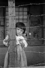 Harold Feinstein  -  Korean Little Girl, 1953 /   -  