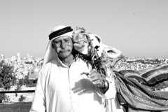   -  13 Amicizia (friendship) - Raffaele De Vincenzo - Italy /   -  