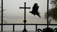   -  45 The Cross and the Dove - Anneline Smit - South Africa /   -  