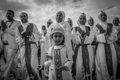   -  69 Prince Of Sheba - Guy Aloni - Israel /   -  