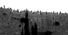   -  90 Ariel Levanon Guru's Pick - Israel /   -  
