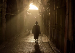   -  95 Dalia Rajuan -winning Photo /   -  