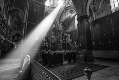 Giedre Mikalauskaite  -  Spiritual Light of Jerusalem /   -  