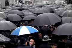 Ezra Landau  -  To Be Different Or Not To Be /   -  