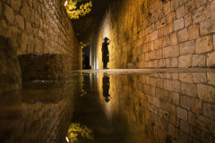 Romel Pineda  -  Rabbi Praying /   -  