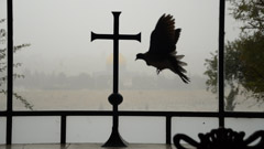 Anneline Smit  -  The Cross And The Dove /   -  