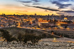 Michael Shmidt - Israel  -  Jerusalem of Gold /   -  
