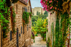 Ephraim Loeb - Israel  -  The first new Jerusalem quarter outside the old city walls /   -  