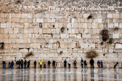 Tomer Montilia  -  The Wall /   -  