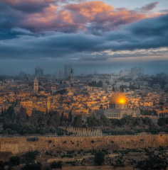 Mark Brodkin  -  My Jerusalem /   -  