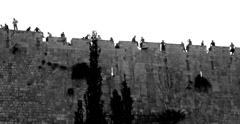 Ariel Levanon  -  On Top of the Walls /   -  