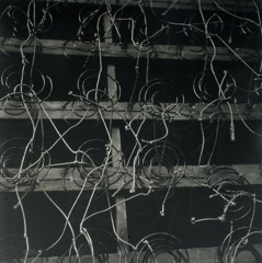 Vivian Maier  -  Untitled, n.d. / Silver Gelatin Print  -  12 x 12