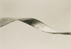 Rondal Partridge  -  Wisteria Twist, Mobius, Berkley, 1933 / Platinum Palladium  -  4.25 x 6.5