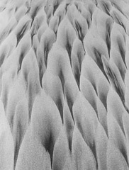 Edna Bullock  -  Sand Pattern #3 1977 / Silver Gelatin Print  -  available in multiple sizes