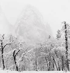 Bob Kolbrener  -  Snowstorm - El Cap Meadow, Yosemite National Park, CA, 2001 / Silver Gelatin Print  -  16 x 20
