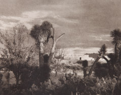 Paul Strand  -  Near Saltillo, 1932 / Photogravure  -  