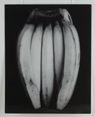 Edward Weston  -  Bananas, 1930 / Silver Gelatin Print  -  9.5 x 7.5